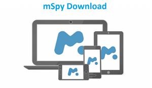 How Does Mspy In